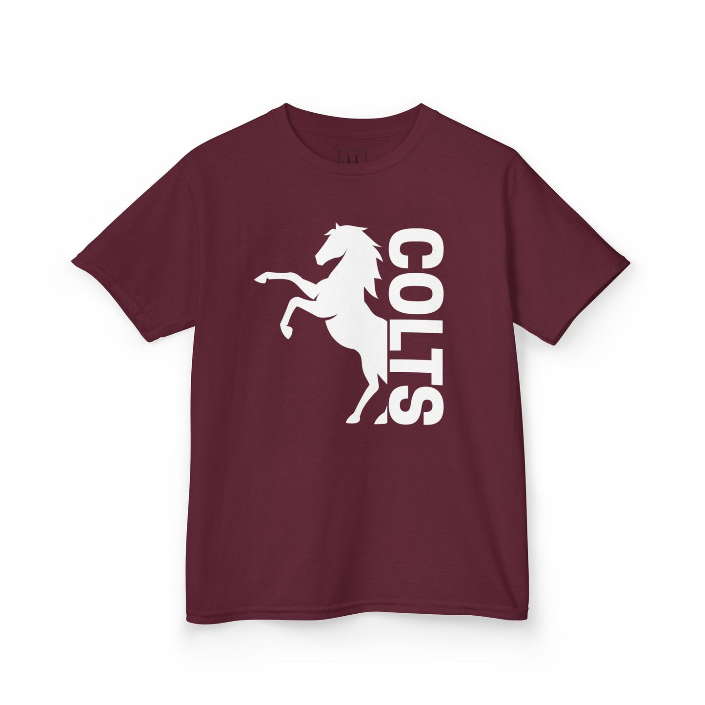 YOUTH - COLTS, Horse in White