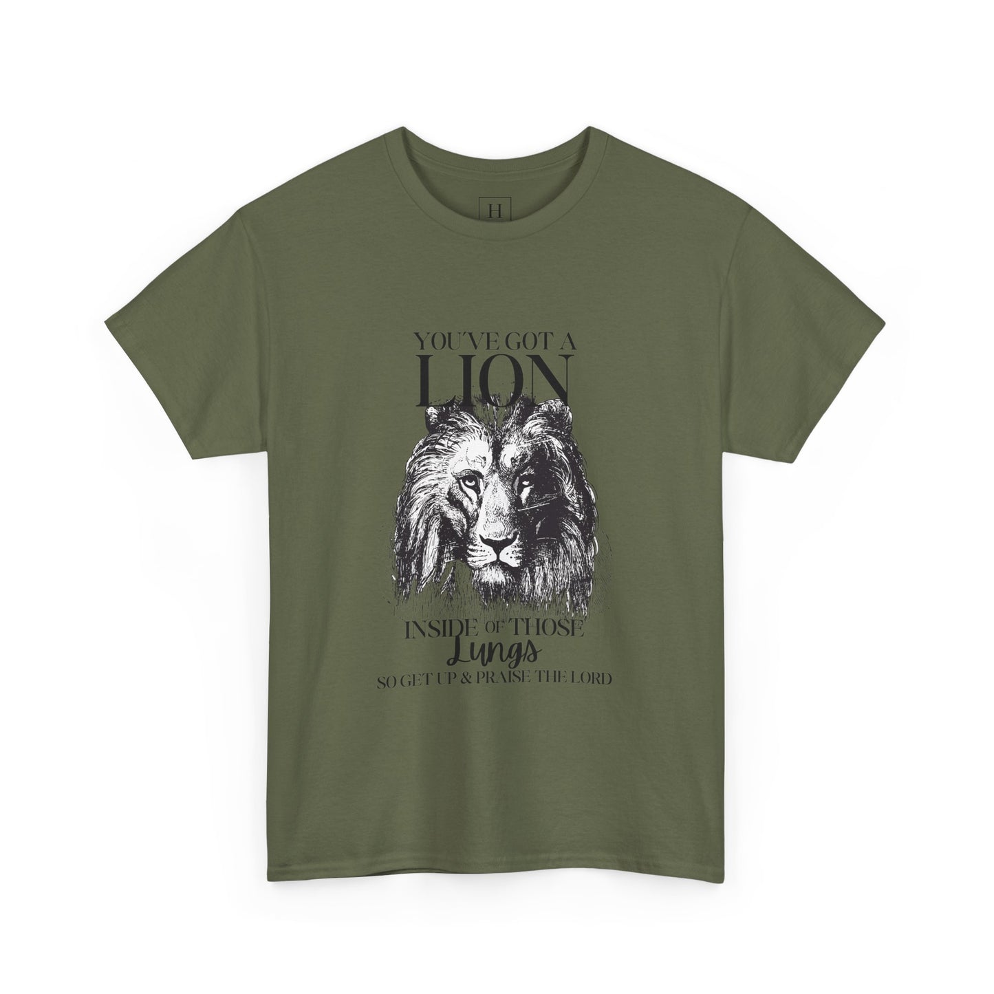 you are a lion christian shirt