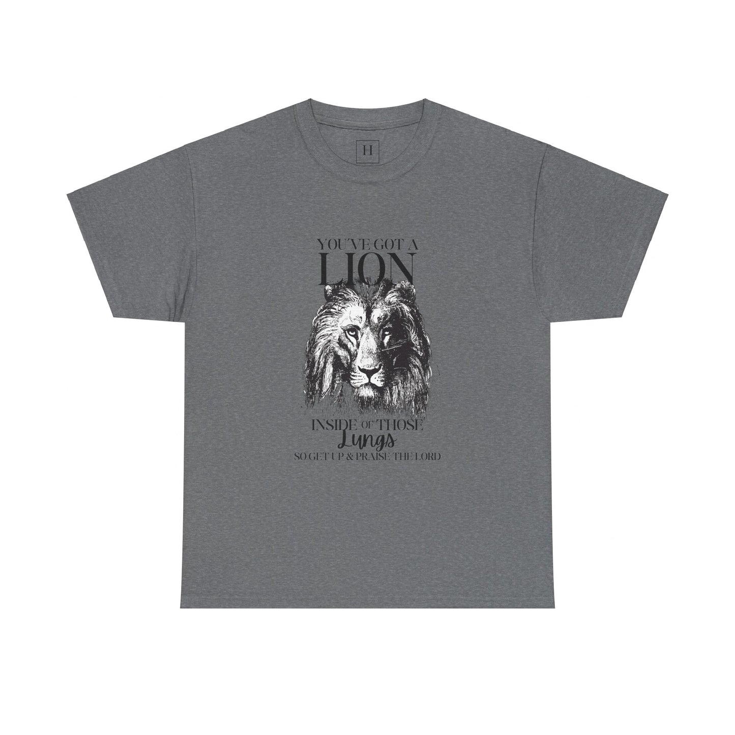 you are a lion christian shirt