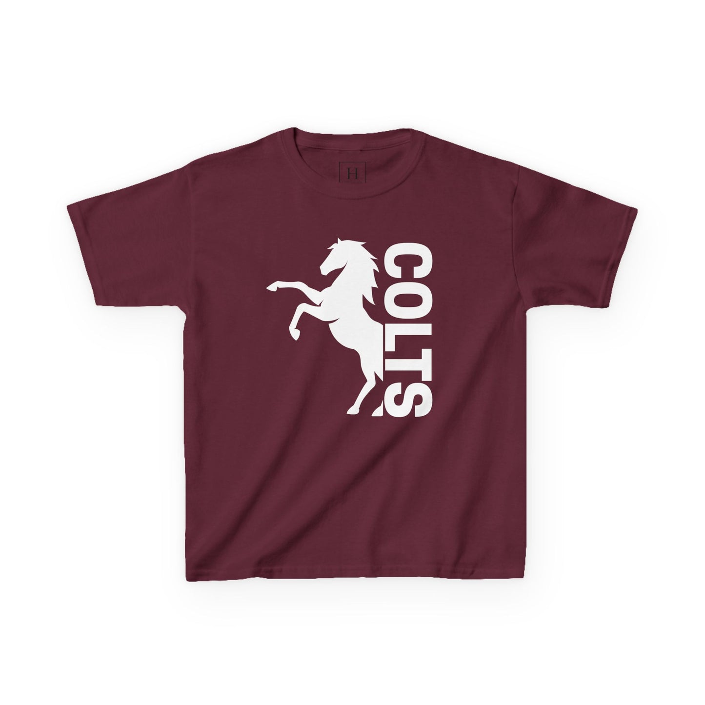 YOUTH - COLTS, Horse in White