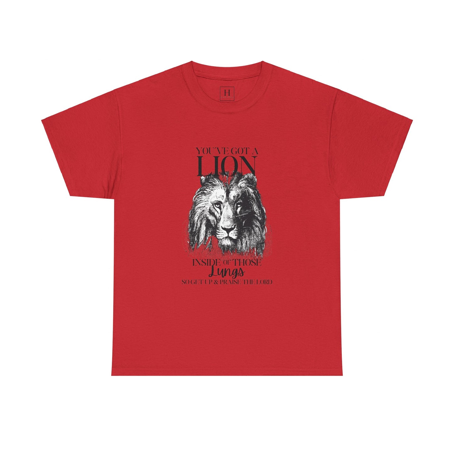 you are a lion christian shirt