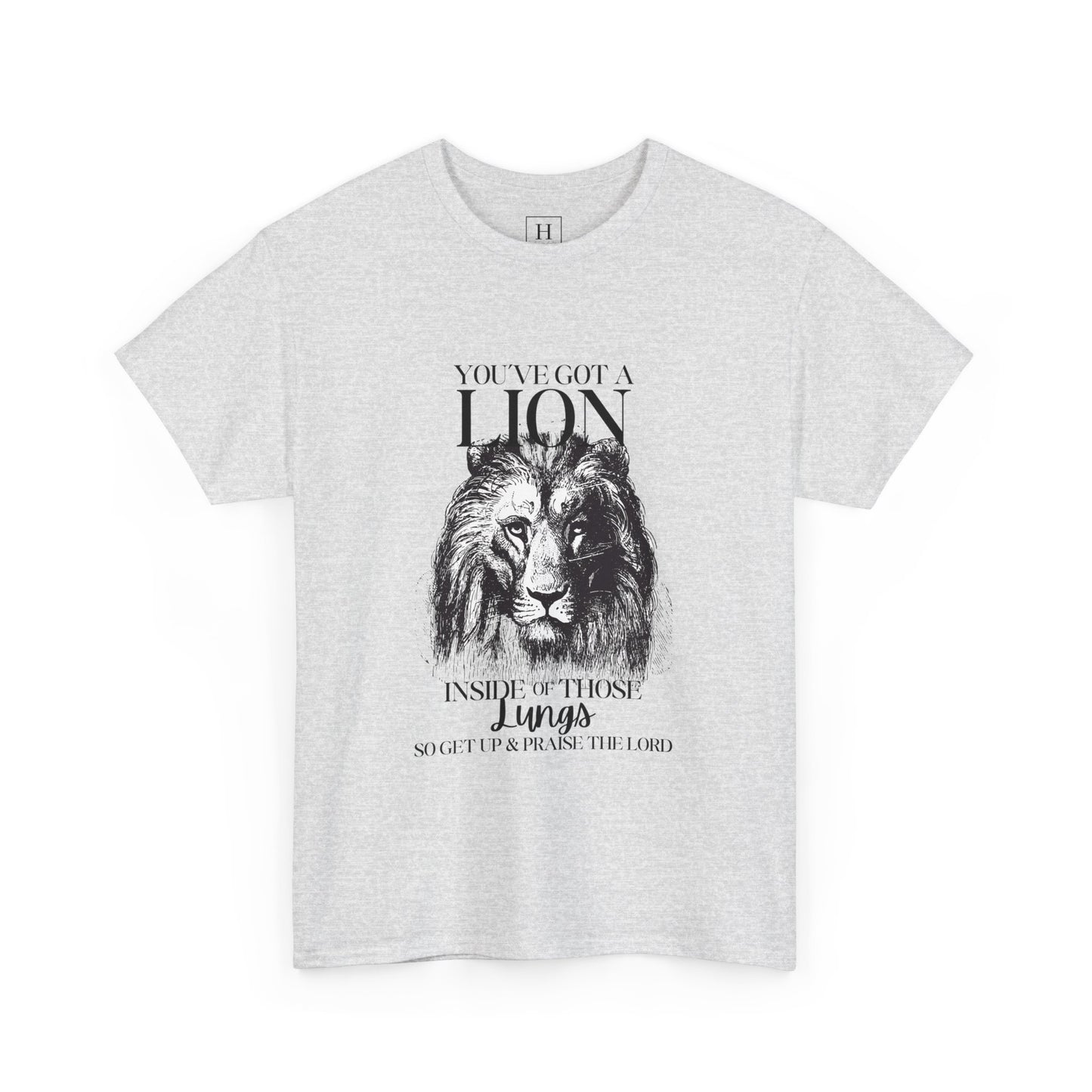 you are a lion christian shirt