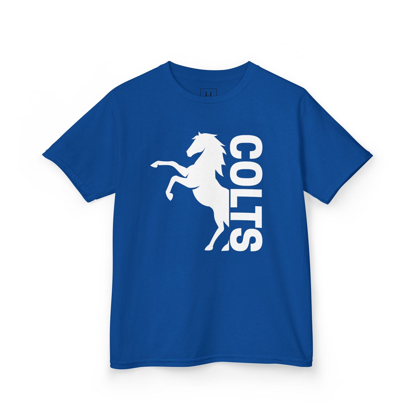 YOUTH - COLTS, Horse in White