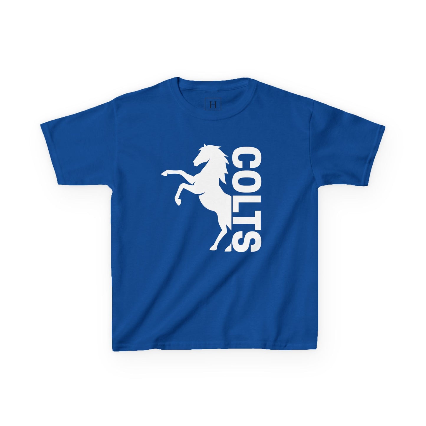 YOUTH - COLTS, Horse in White