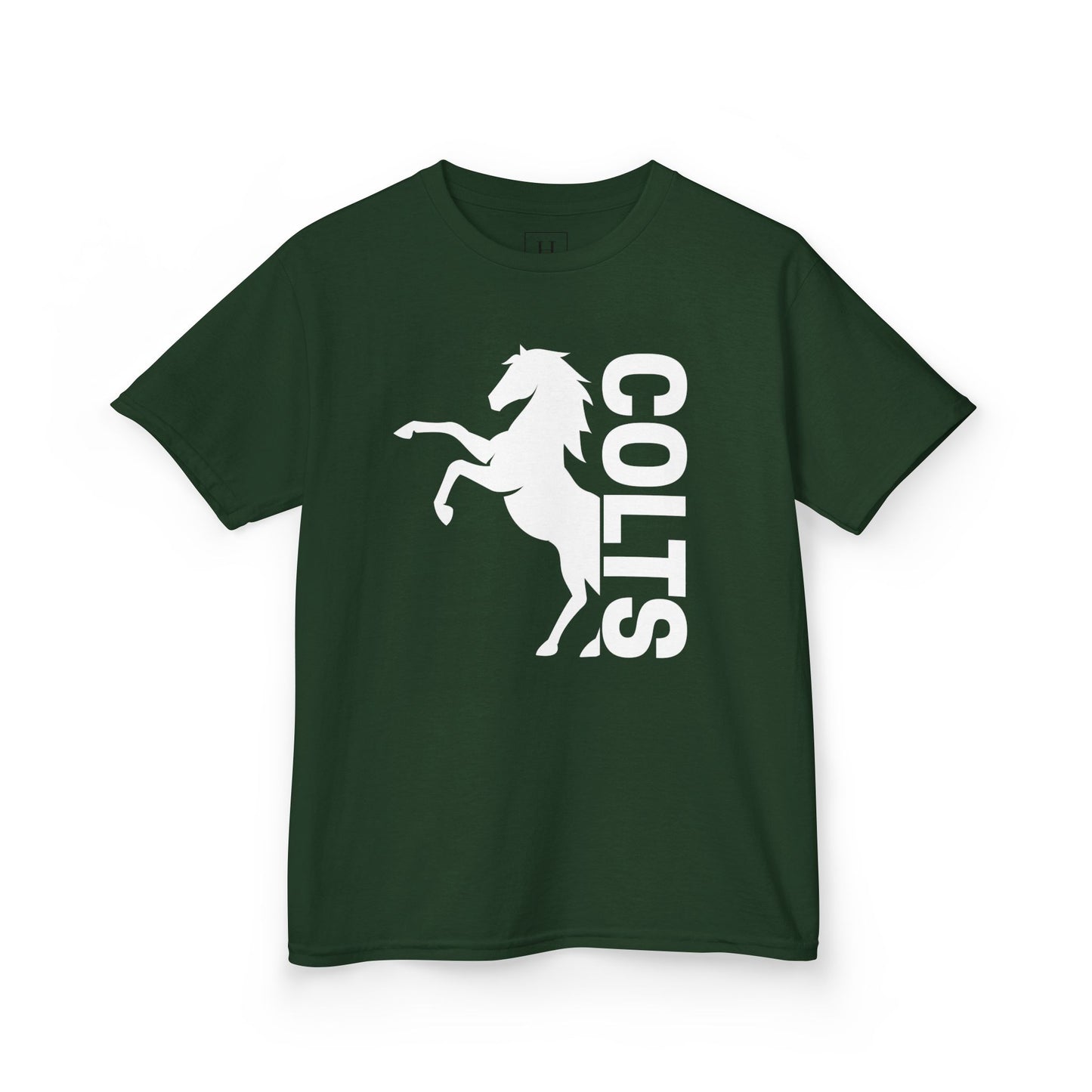YOUTH - COLTS, Horse in White