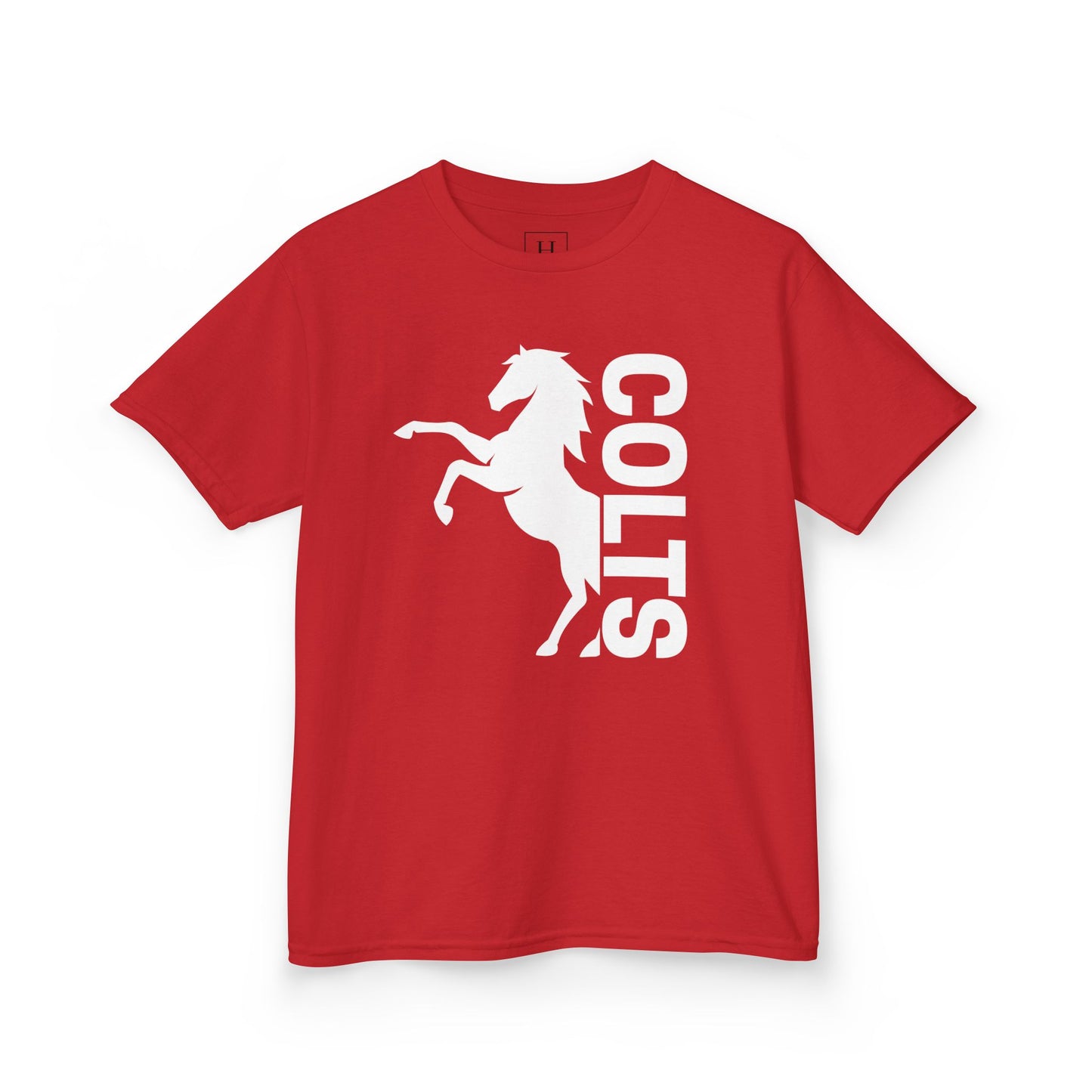 YOUTH - COLTS, Horse in White