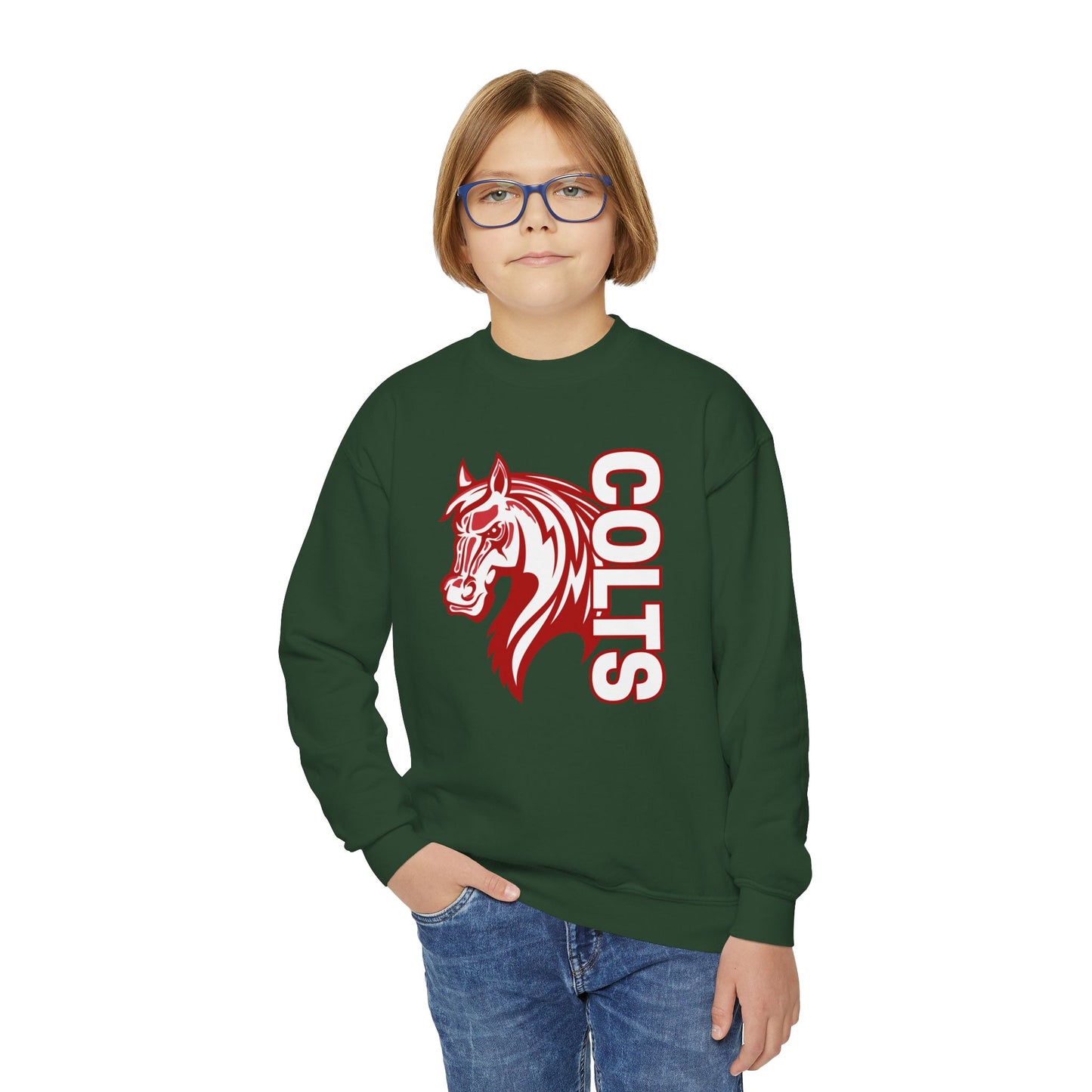 YOUTH -- Colts Mascot Head Horse West Jessamine Sweater