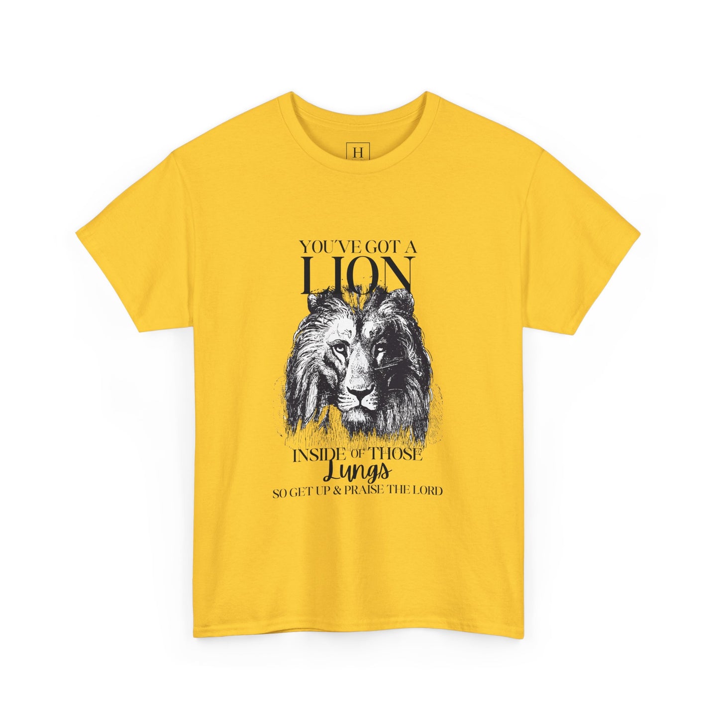 you are a lion christian shirt