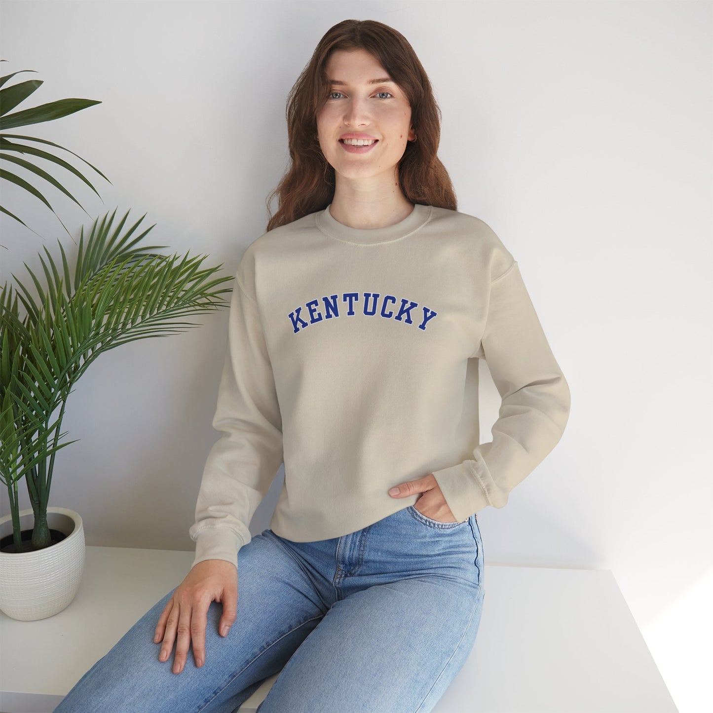 Kentucky Wildcats Pennant Sweater (Front & Back)