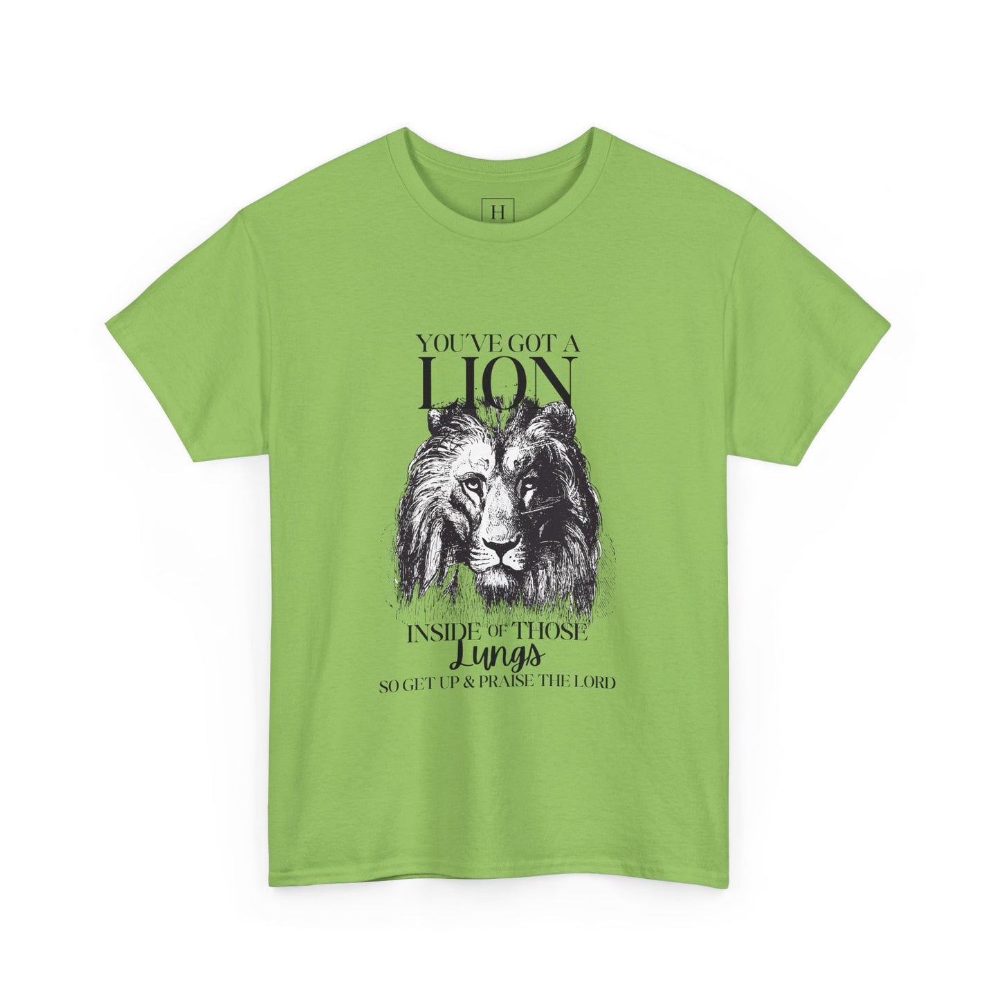 you are a lion christian shirt