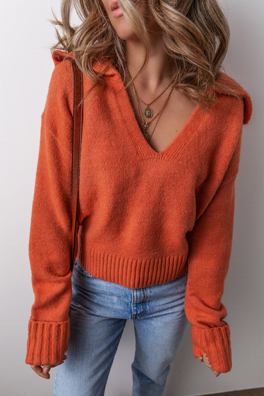 Flamingo Collared V Neck Ribbed Edge Sexy Elegant Sweater