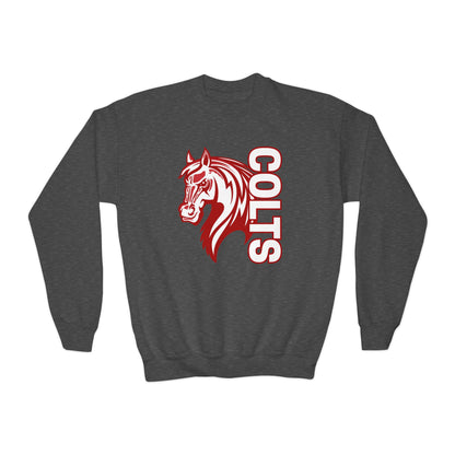 YOUTH -- Colts Mascot Head Horse West Jessamine Sweater