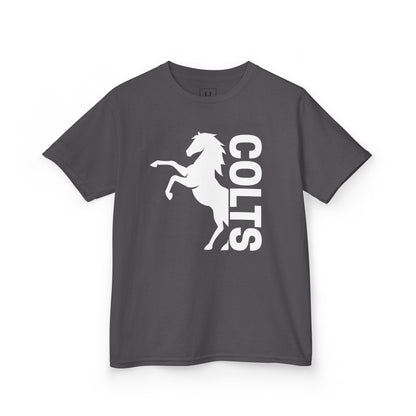 YOUTH - COLTS, Horse in White
