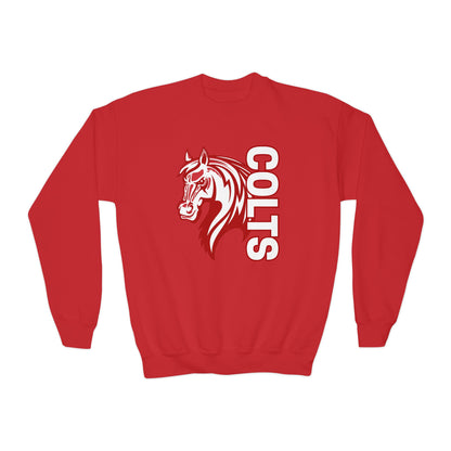 YOUTH -- Colts Mascot Head Horse West Jessamine Sweater