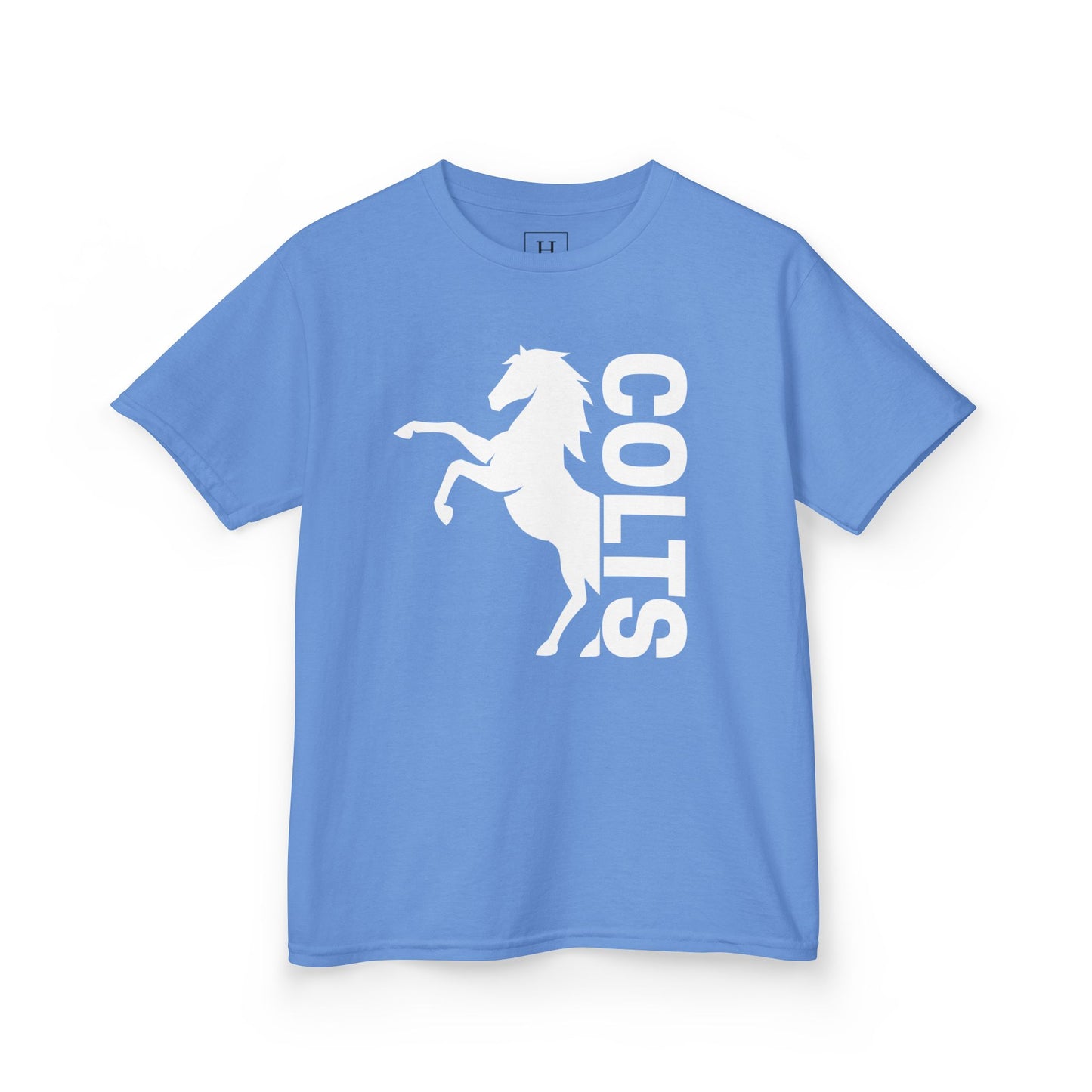 YOUTH - COLTS, Horse in White