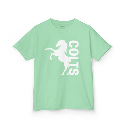 YOUTH - COLTS, Horse in White