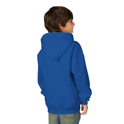 Youth Hoodie -- Cheerleading Bows Unisex Tee - West Jessamine Coquette Design