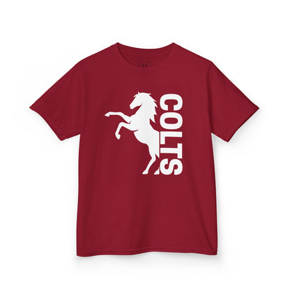 YOUTH - COLTS, Horse in White