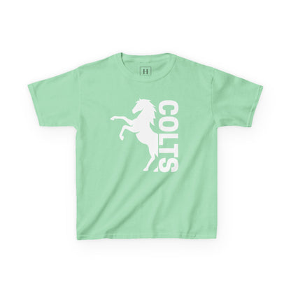 YOUTH - COLTS, Horse in White