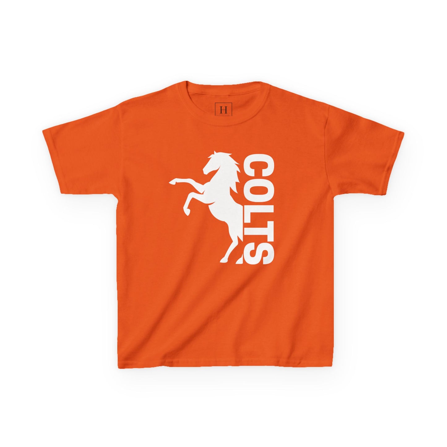 YOUTH - COLTS, Horse in White