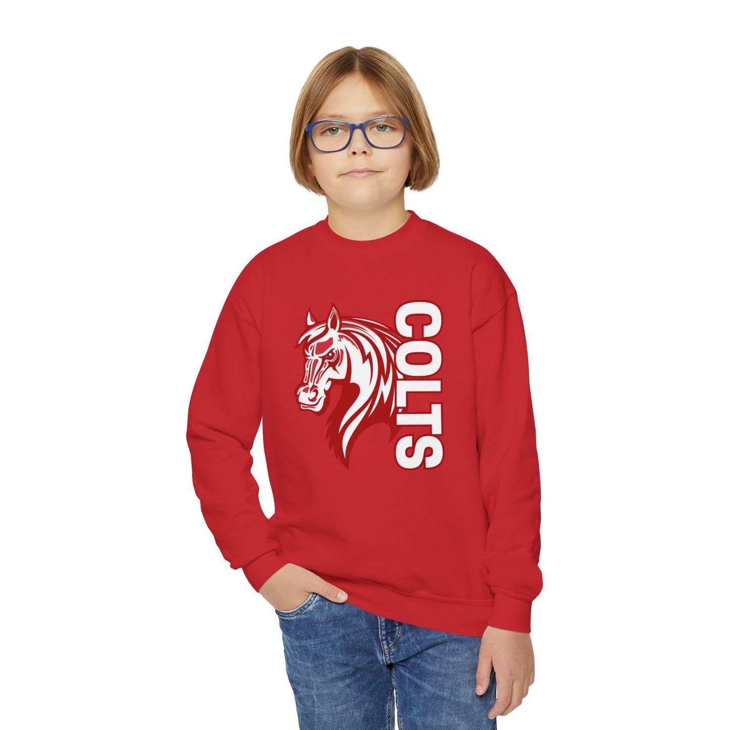 YOUTH -- Colts Mascot Head Horse West Jessamine Sweater