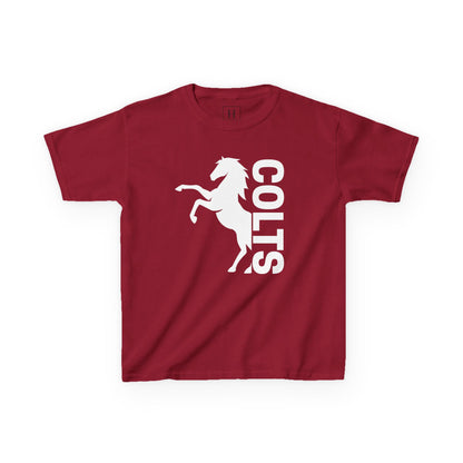 YOUTH - COLTS, Horse in White