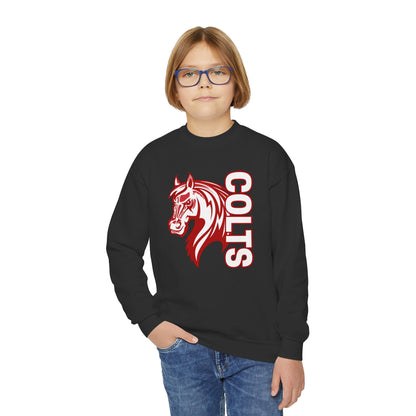 YOUTH -- Colts Mascot Head Horse West Jessamine Sweater