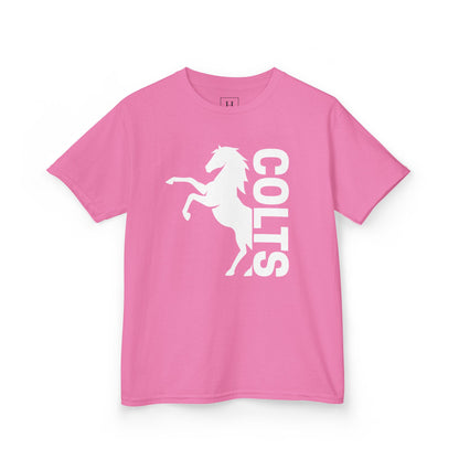 YOUTH - COLTS, Horse in White