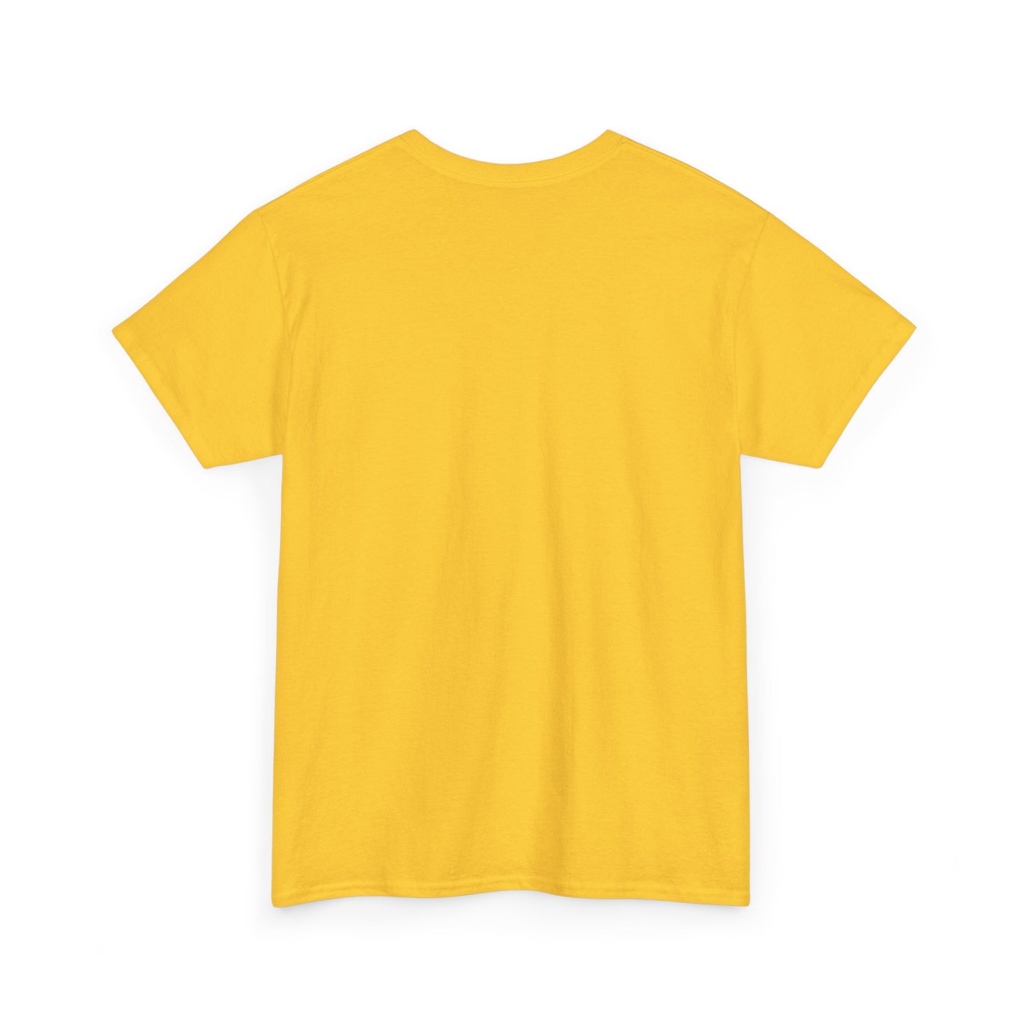 you are a lion christian shirt