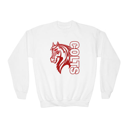 YOUTH -- Colts Mascot Head Horse West Jessamine Sweater