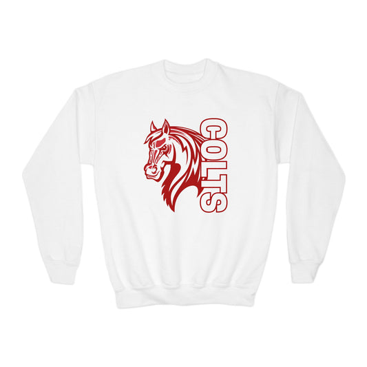 YOUTH -- Colts Mascot Head Horse West Jessamine Sweater