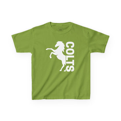 YOUTH - COLTS, Horse in White