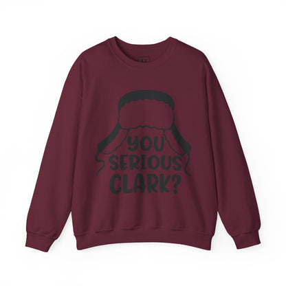 Are You Serious Clark Sweater