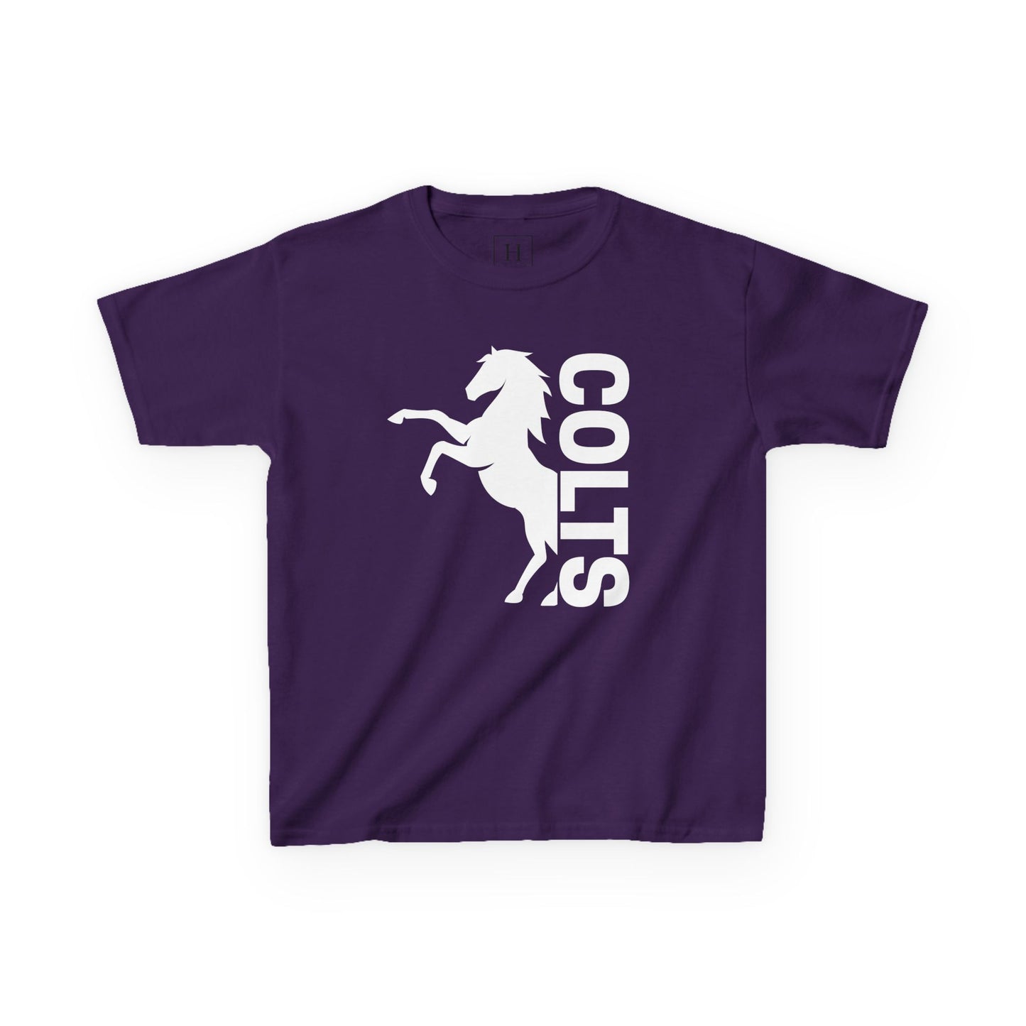 YOUTH - COLTS, Horse in White