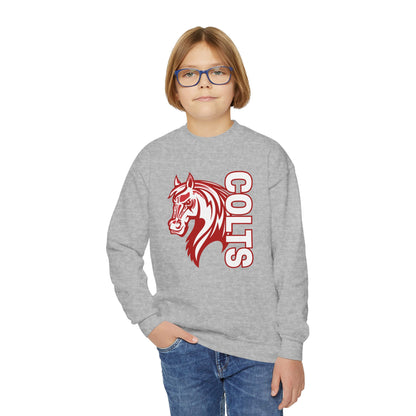 YOUTH -- Colts Mascot Head Horse West Jessamine Sweater
