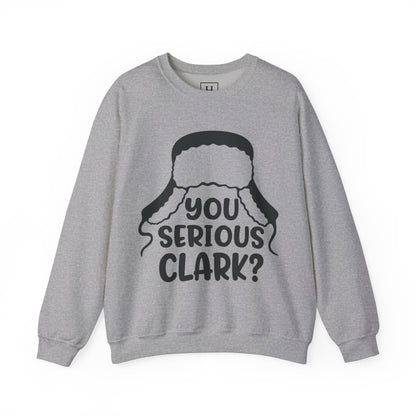 Are You Serious Clark Sweater