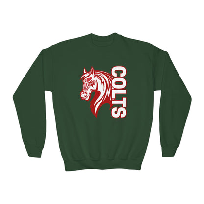 YOUTH -- Colts Mascot Head Horse West Jessamine Sweater