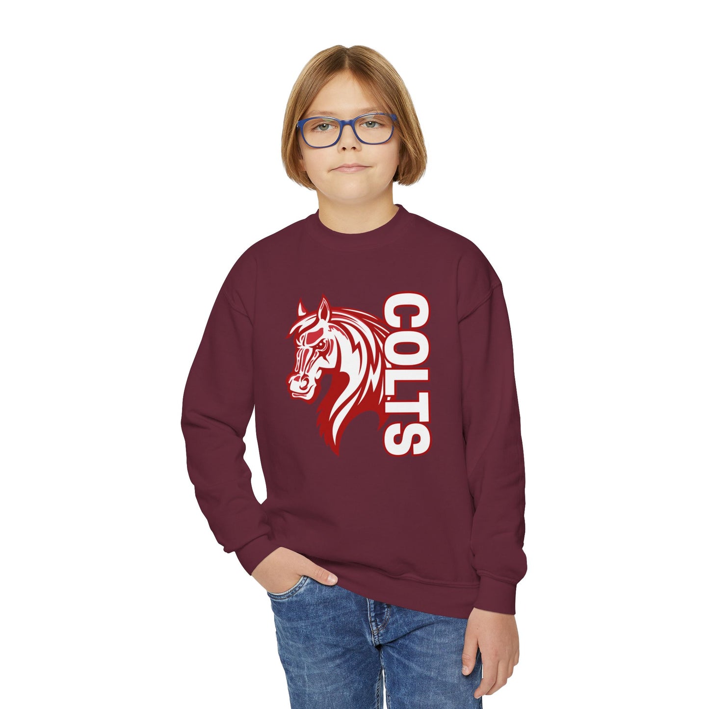 YOUTH -- Colts Mascot Head Horse West Jessamine Sweater
