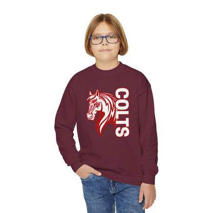 YOUTH -- Colts Mascot Head Horse West Jessamine Sweater