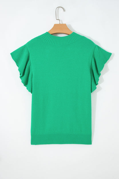 Beau Blue Solid Color Ribbed Trim Round Neck Ruffle Short Sleeve Sweater