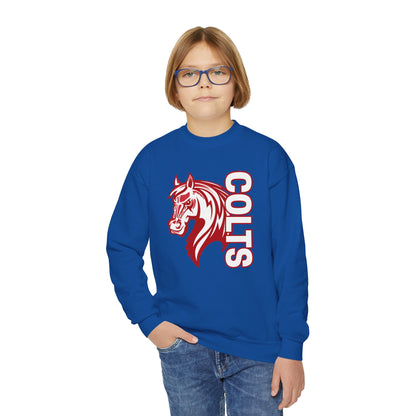 YOUTH -- Colts Mascot Head Horse West Jessamine Sweater