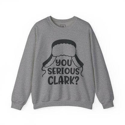 Are You Serious Clark Sweater