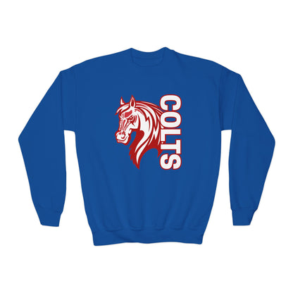 YOUTH -- Colts Mascot Head Horse West Jessamine Sweater