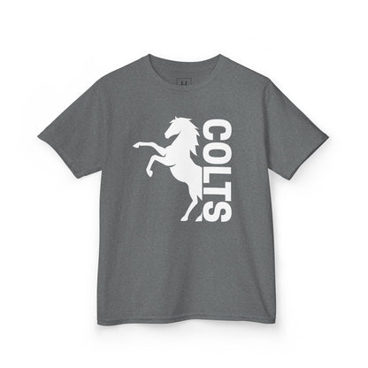 YOUTH - COLTS, Horse in White