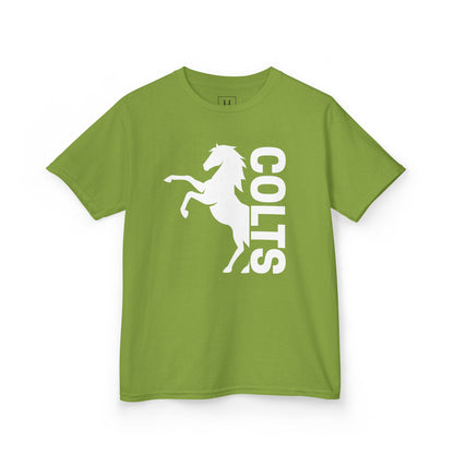 YOUTH - COLTS, Horse in White