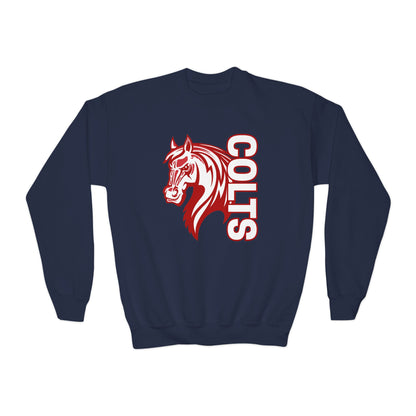 YOUTH -- Colts Mascot Head Horse West Jessamine Sweater