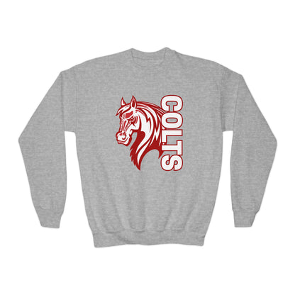 YOUTH -- Colts Mascot Head Horse West Jessamine Sweater