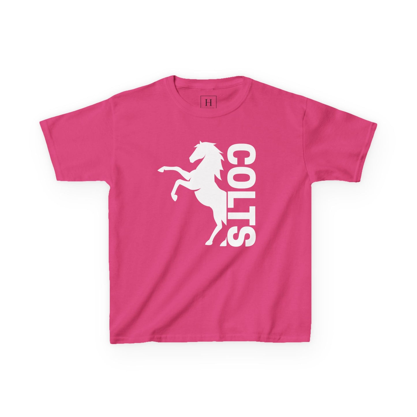 YOUTH - COLTS, Horse in White