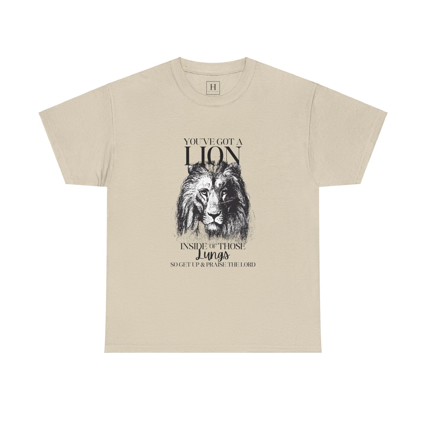 you are a lion christian shirt