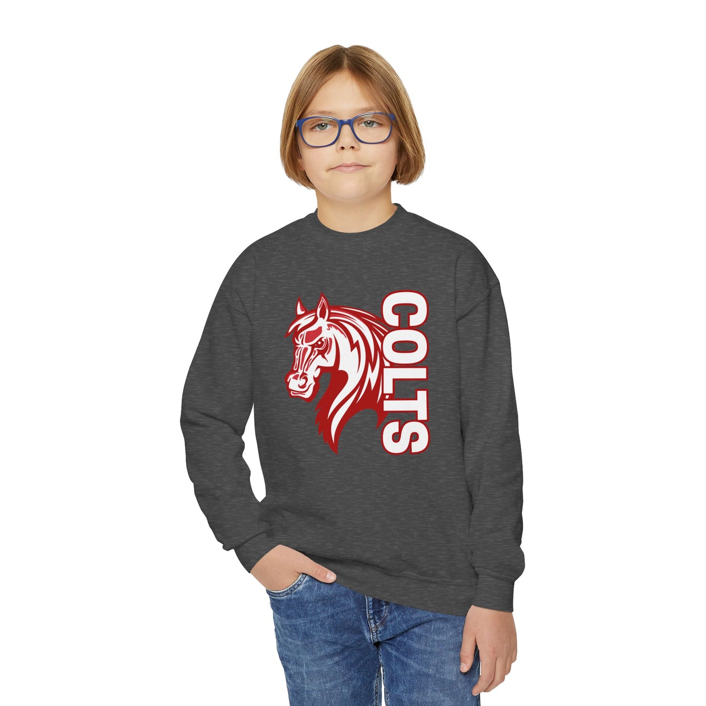 YOUTH -- Colts Mascot Head Horse West Jessamine Sweater